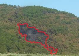 Catasto aree percorse da fuoco nell'anno 2021. Primo stralcio Catasto aree percorse da fuoco nell'anno 2021. Primo stralcio