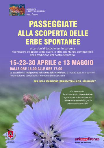 corso erbe