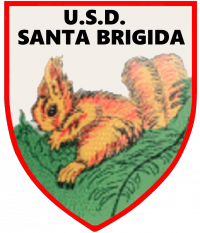 santa brigida