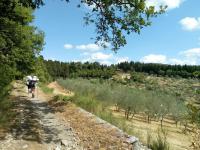 80 km da Firenze al Falterona